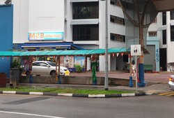 Blk 460 Segar Meadows (Bukit Panjang), HDB 4 Rooms #312841091